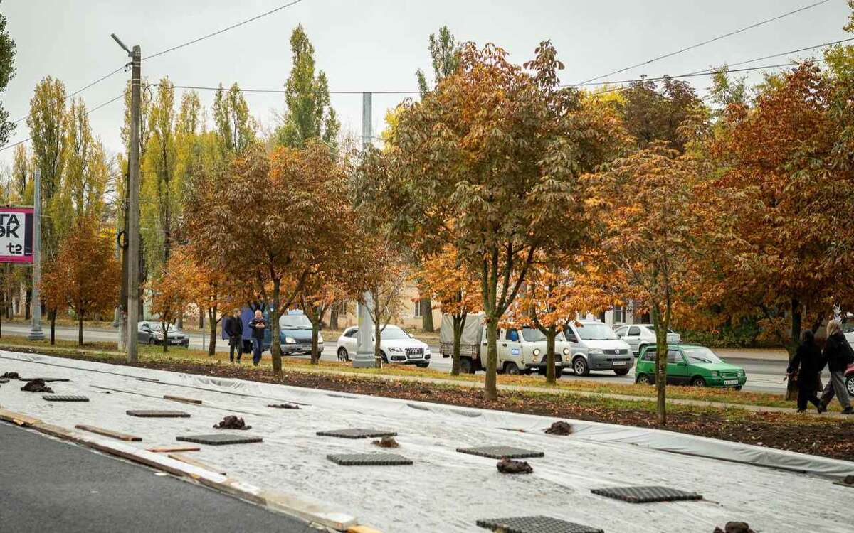    Хинштейн потребовал отдать озеленение и уборку Курска муниципальным предприятиям фото: телеграм-канал Евгения Маслова