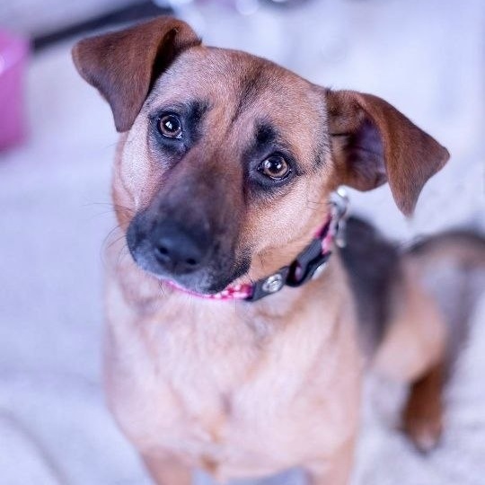 Дефиле участников #найдидруга_28марта продолжается