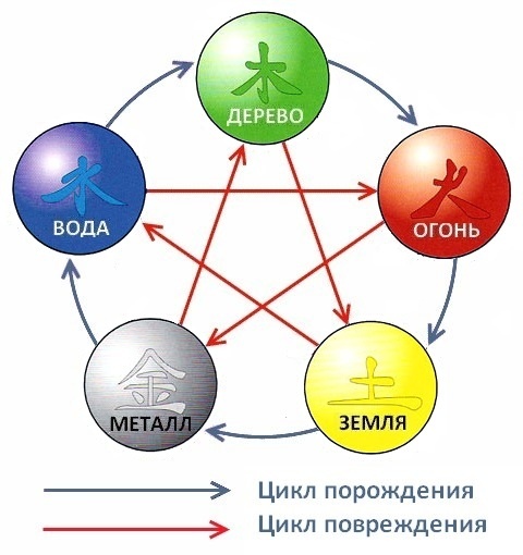 Цикл У-Син порождения и контроля для людей стихии Дерева