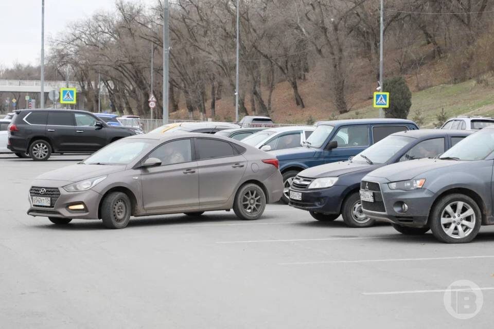    фото: Дмитрий Рогулин / "Городские вести"