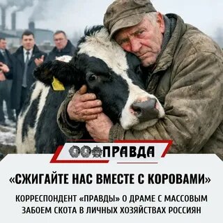 «Они кормили страну, а их коров сжигают»: социальная катастрофа в сибирских деревнях и угрозы продовольственной безопасности России