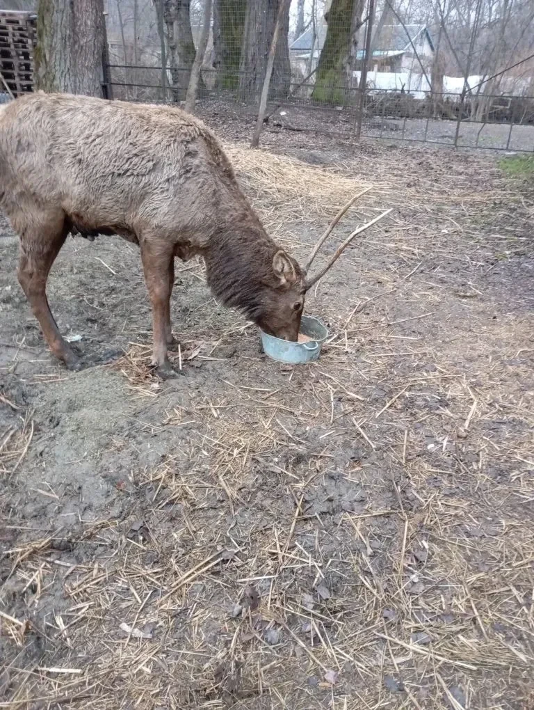    Фото: администрация Невинномысска Светлана Уварова