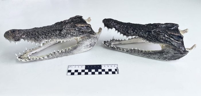 Фото пресс-службы Сибирского таможенного управления.