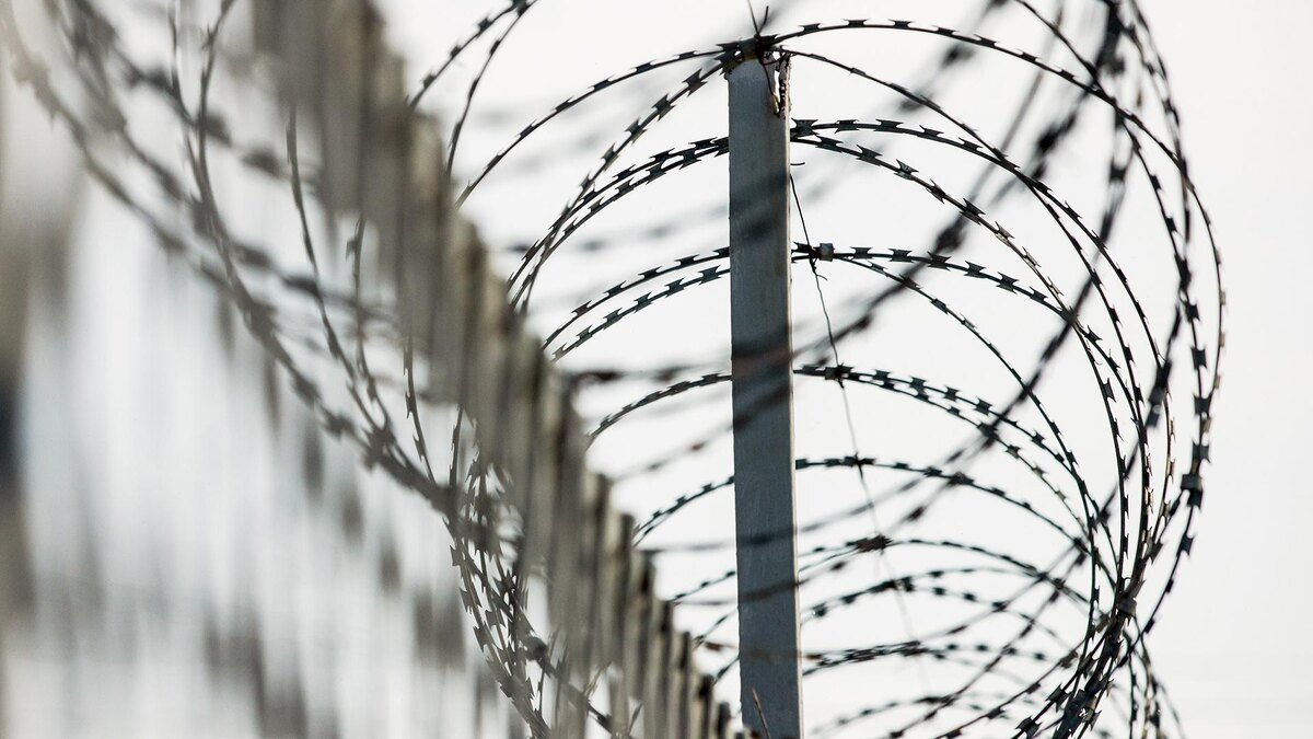    Фото: Ilya Moskovets/globallookpress.com