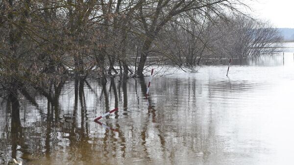    © Sputnik / Татьяна Федоренко