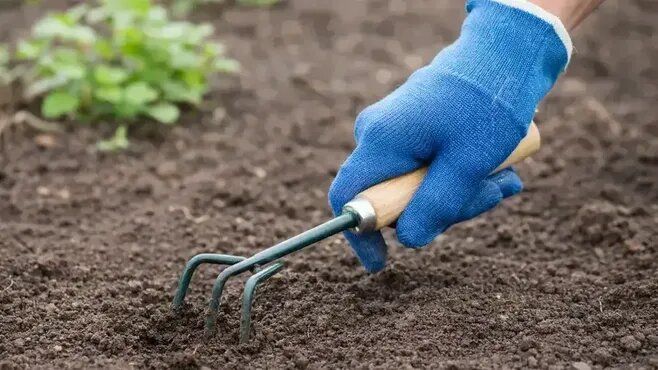 Фото: REGIONS/Сгенерировано нейросетью