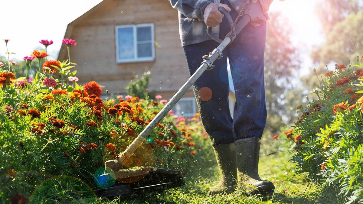    Фото: Shutterstock