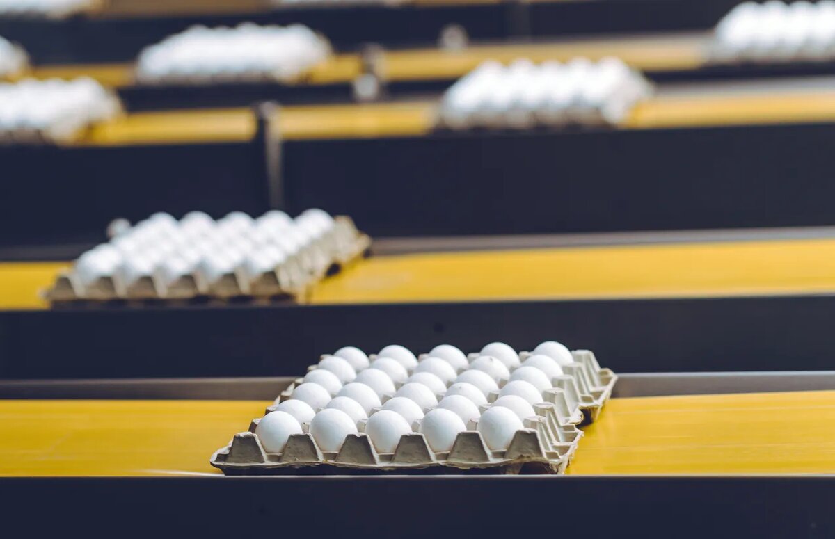    Источник изображения: ItRussia.Media