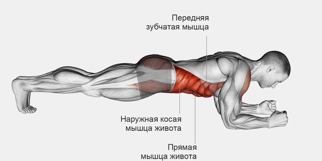 Кубики за 3 месяца: почему у вас нет пресса и как это исправить навсегда.