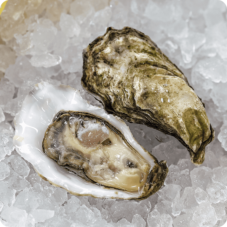 Устрица Специаль Касабланка