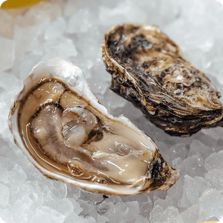 Устрица Люмьер