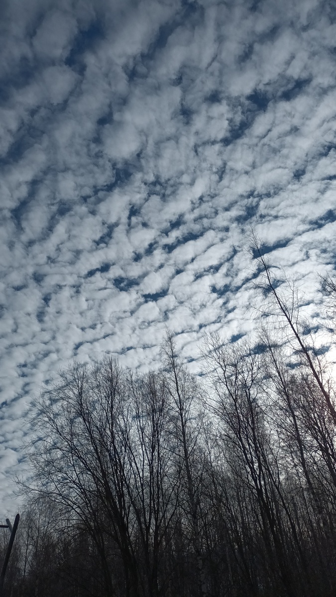 Русское небо