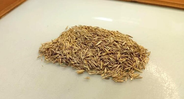    Фото: ФГБУ ЦОК АПК