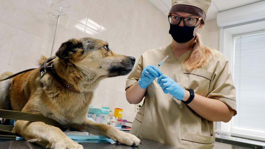 Фото: РИА Новости/Александр Кондратюк