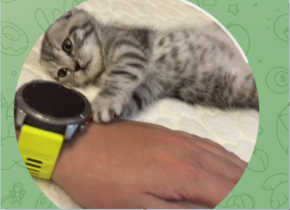 «Милота»: Элвин Грей показал поклонникам своего питомца