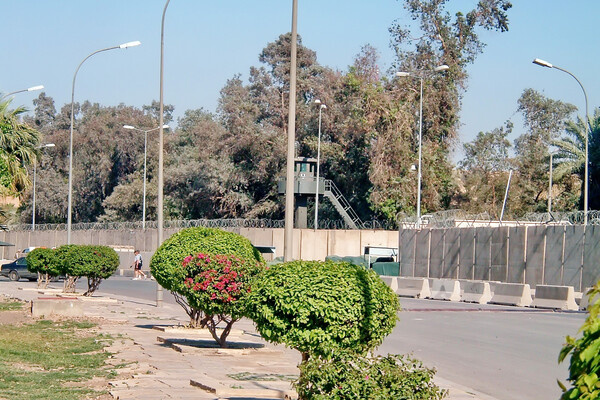 Angela N Perryman/Shutterstock   📷