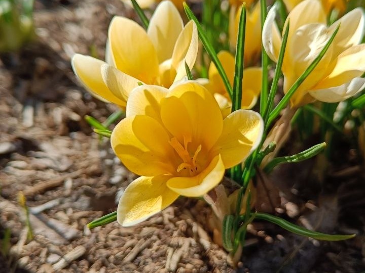 После посещения галереи мы отправились в любимое Зарядье😊👍 Так как была суббота, то народу было достаточно