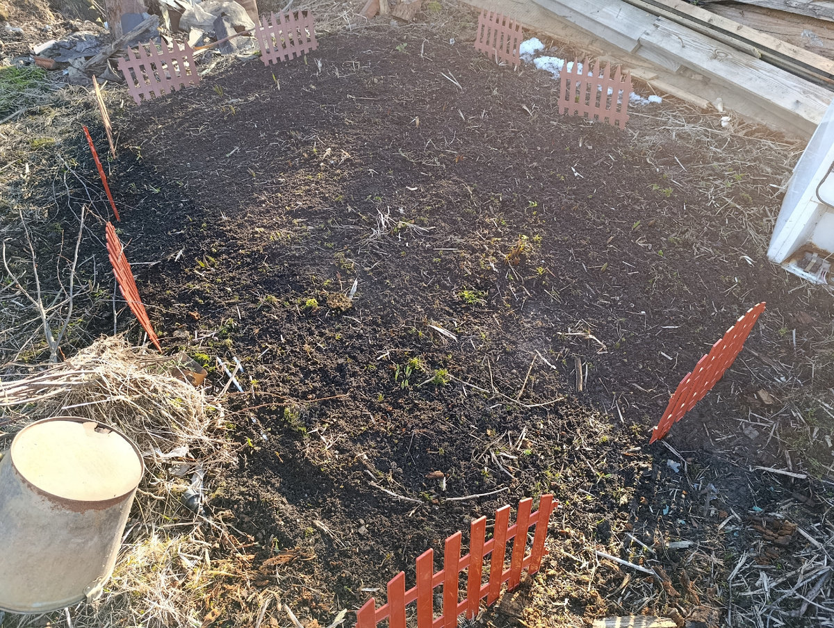 Количество не считала