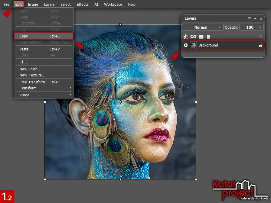 Пункт Copy (Копировать) в меню Edit (Редактирование)