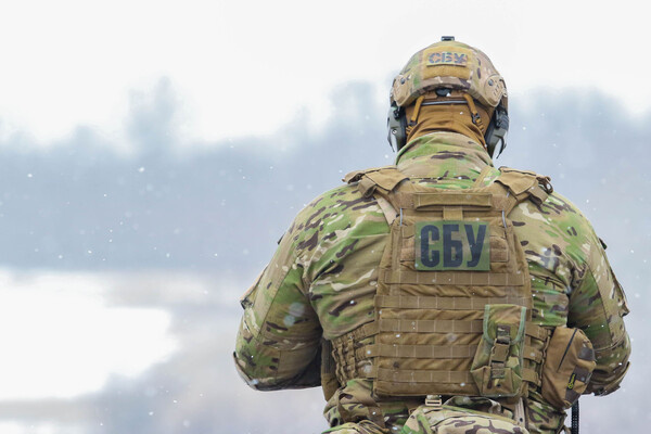 Oleh Dubyna/Shutterstock/FOTODOM   📷