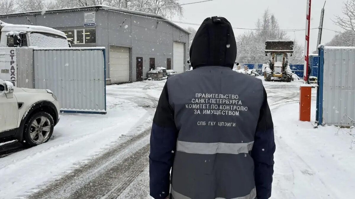    Фото: vk.com/kkispb