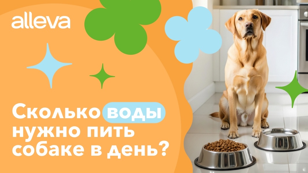 Создать карусель