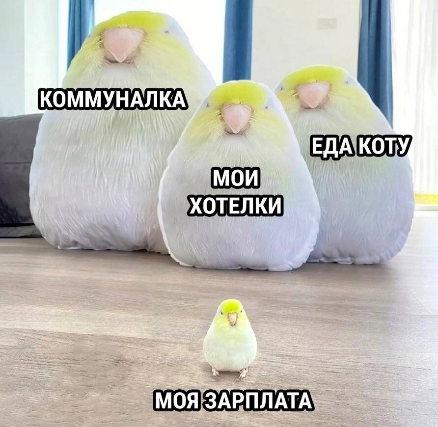 Прикольная картинка)). У меня (пока) всё не так... весело... \ фото из Сети