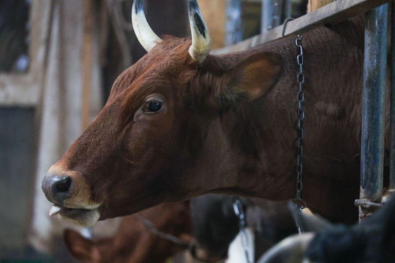    Наталья Шатохина/NEWS.ru