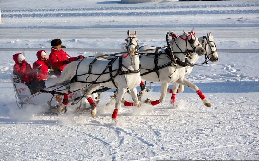Орёл: город первого салюта, великих книг и родина орловских рысаков