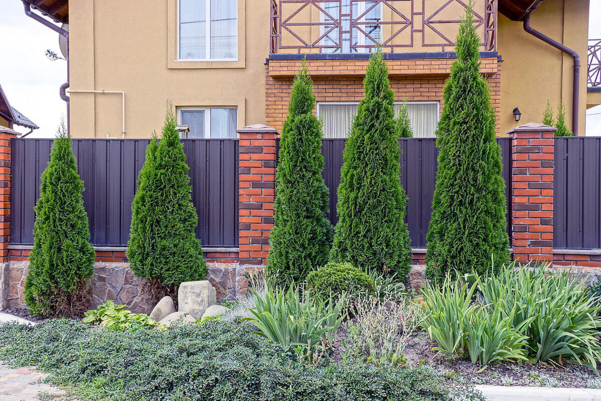     123RF/legion-media.ru