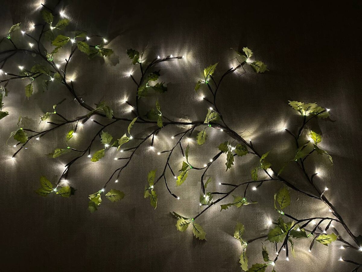 Фотография из кабинета 