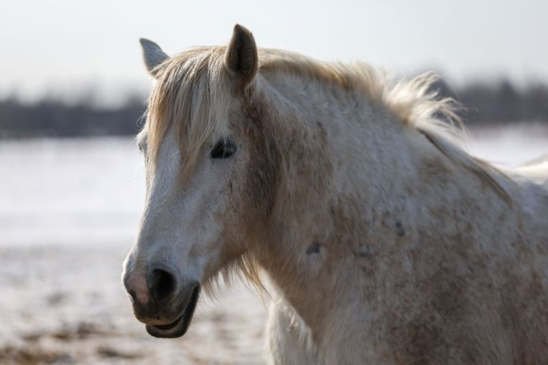    Алексей Белкин/NEWS.ru
