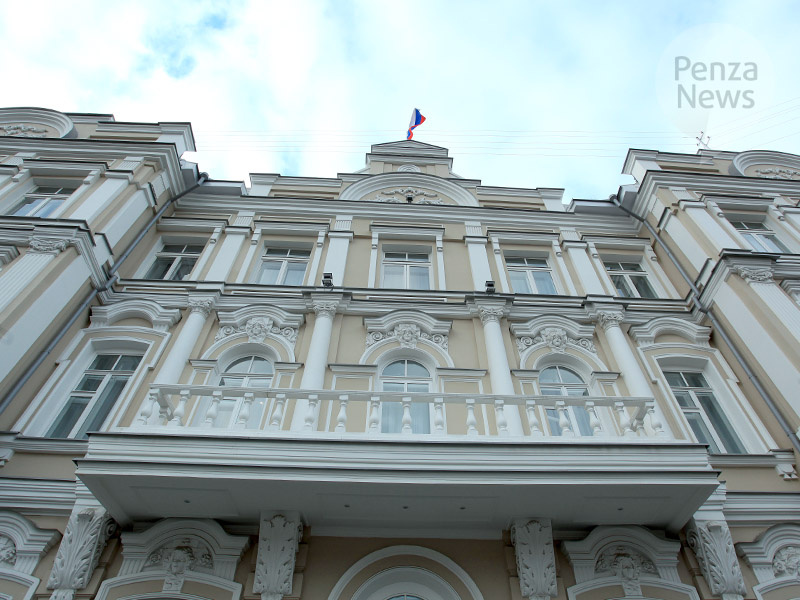    © Фото из архива ИА «PenzaNews»