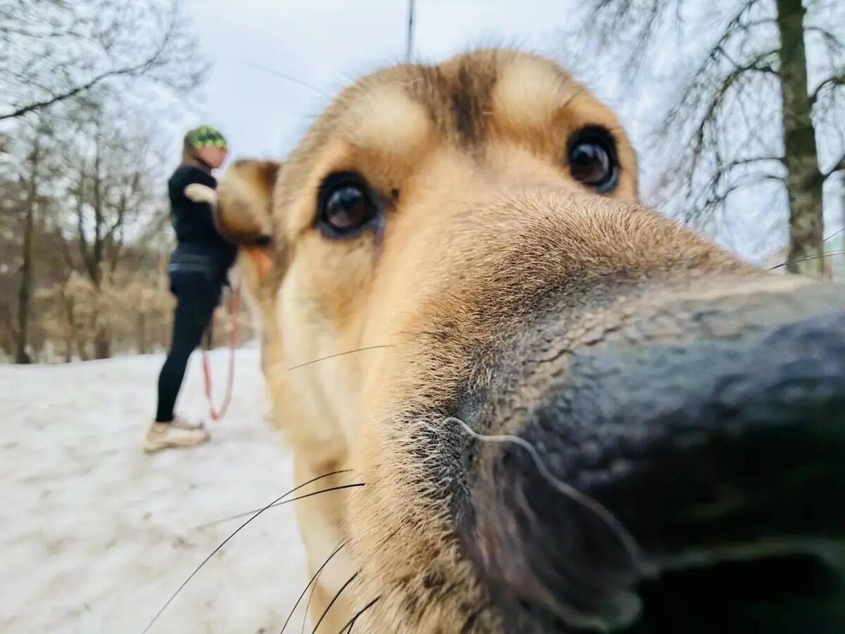 Фото: Ольга Стаферова