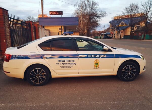    Элина Болдырева