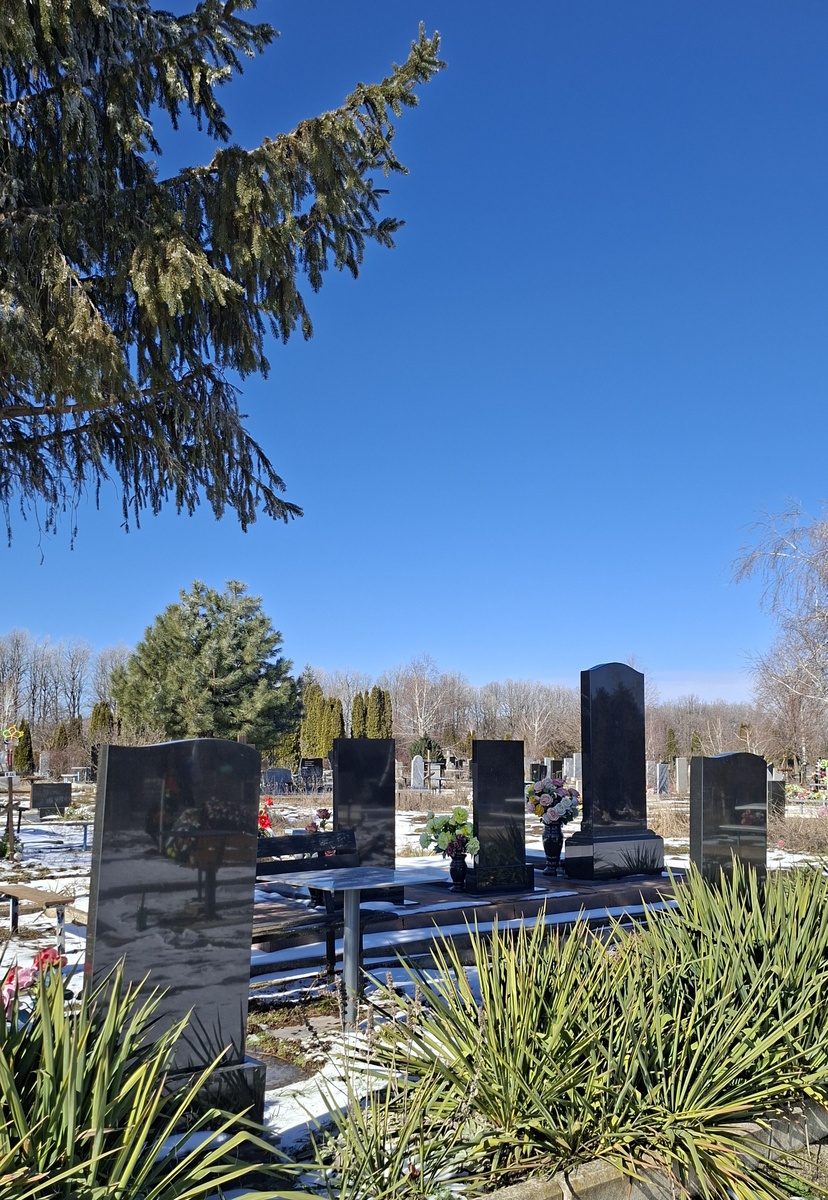 фотография автора