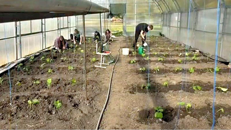    Агрономы будущего: уже в деле!