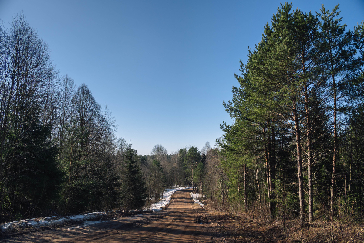 Дорога к городку