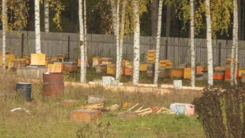    Фото управления Россельхознадзора по Кировской области, Удмуртской Республике и Пермскому краю / архив