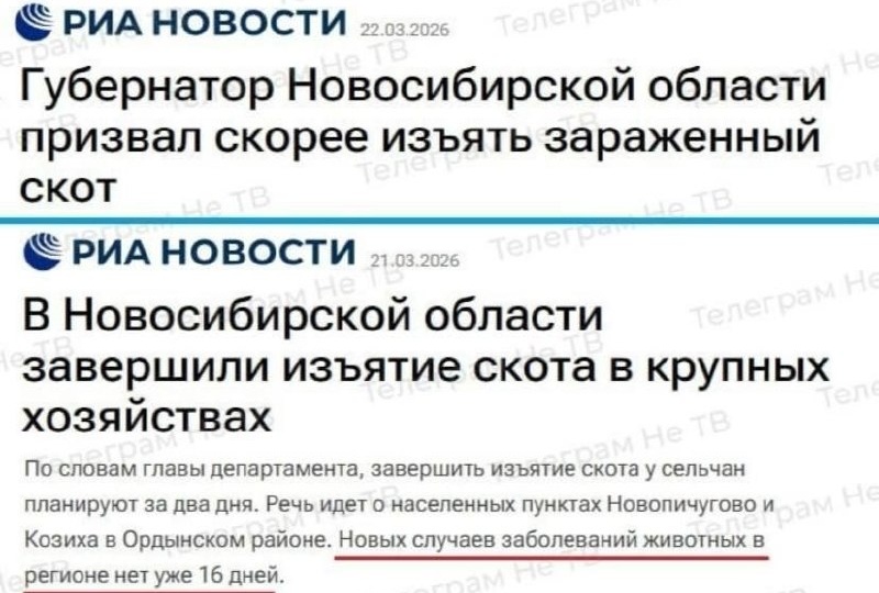 Сегодня, РИА Новости