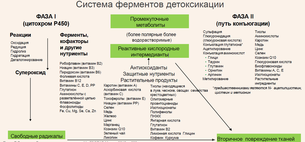 Рис. 1. Нутриенты, необходимые для поддержки ЭСДО