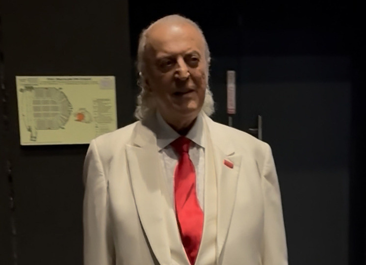 «Слишком голая»: Резник о выходке Чеботиной