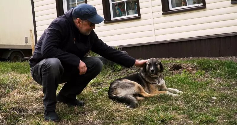    Юрий Шевчук. Фото: кадр видео.
