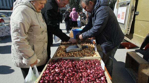    © Sputnik / Александр Кряжев