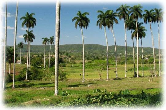    Американцы против похода на Кубу (фото: commons.wikimedia.org/ Lezumbalaberenjena)