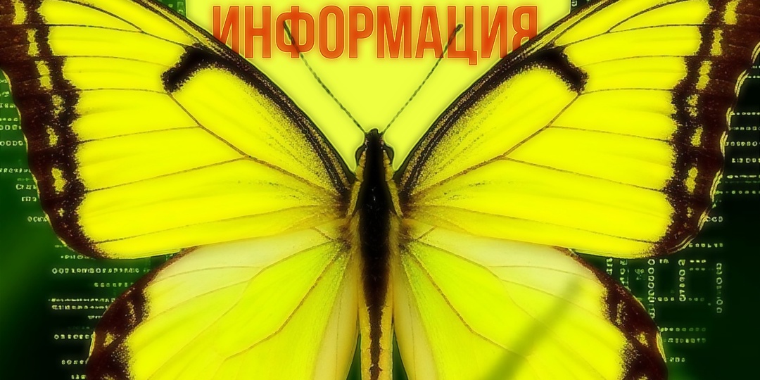 Вы — это не просто тело. Вы — информация. И вот почему это меняет всё