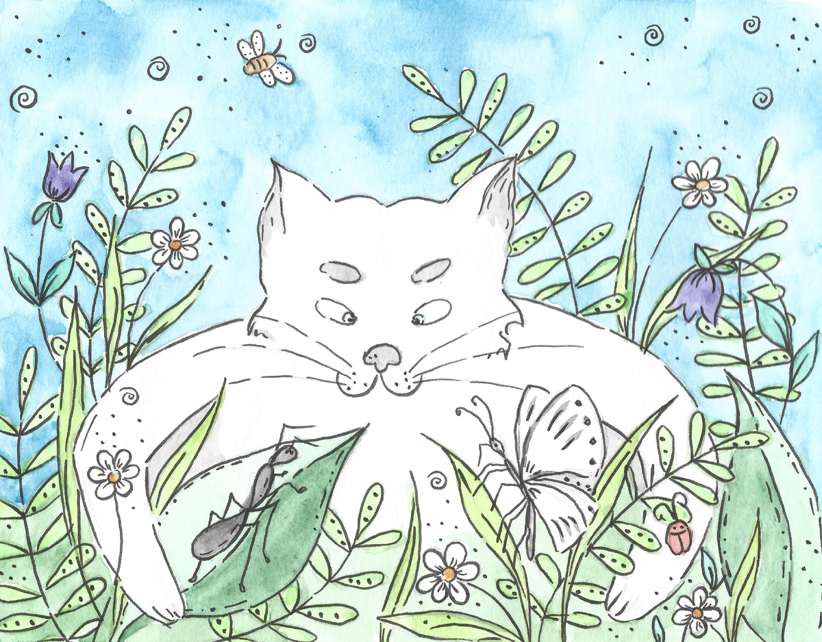 Кто нас создал?