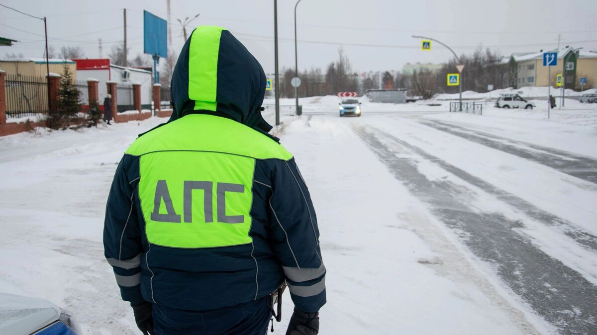    Фото: Юрий Здебский/«Ямал-Медиа»