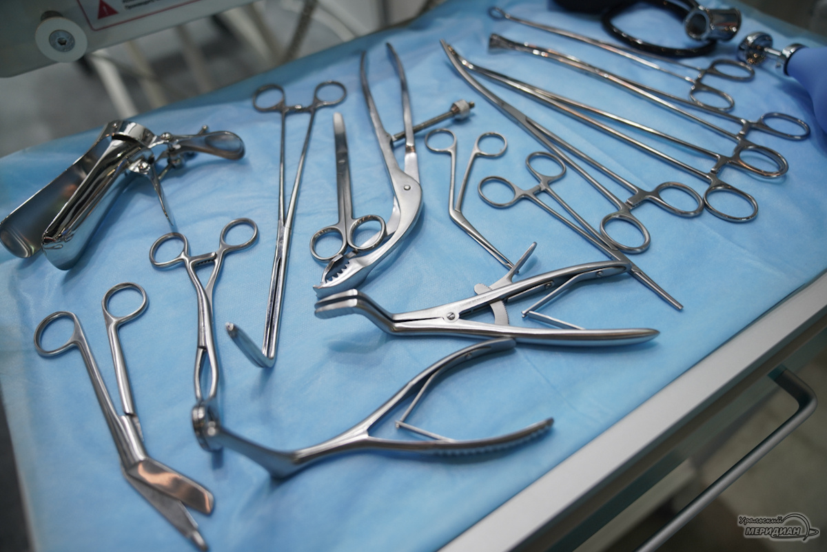    Фото: Лидия Аникина © ИА «Уральский меридиан»