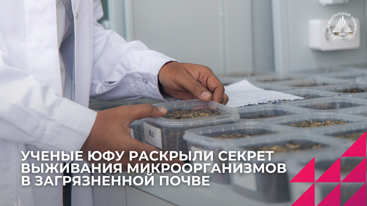 Фото: Центр общественных коммуникаций ЮФУ.